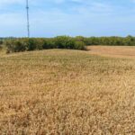 Lot 4 Baltic 118TH Avenue Davenport IA 52804