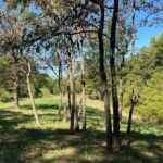 0000 FOREST Road Ava IL 62907