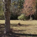 400 Block EDGEWOOD Road Salem IL 62881