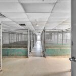 9123 RADNOR Road Peoria IL 61615