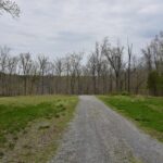 000 Parrish Ridge Road  Goreville IL 62939