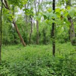 Lot4 Wisconsin Parkway  Delavan WI 53115