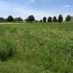 17402 Wildflower Circle  Union IL 60180