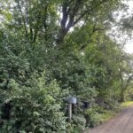 10401 Kenilworth Avenue  Algonquin IL 60102