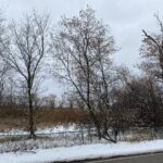 95 W South Drive Lakemoor IL 60051