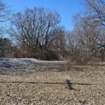 402 Griggs Street  Urbana IL 61801