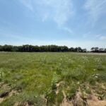 2209 Ann Lane  Woodstock IL 60098