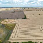 6 lots Boulder Ridge   Champaign IL 61822