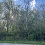 10909 Pebble Drive  Huntley IL 60142