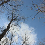 16149 Scenic Court  Wadsworth IL 60083