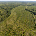 Tract 1 Mint Lane Clay City IL 62824