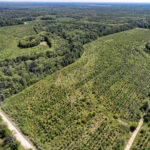 Tract 1 Mint Lane Clay City IL 62824