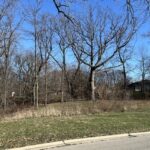 16961 Forest Glen Drive  Tinley Park IL 60477