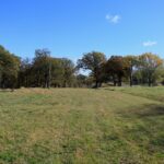 4500 E. River Road  Ridott IL 61067