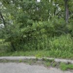 10 Chateau Drive  West Dundee IL 60118