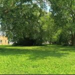 16724 Oak Park Avenue  Tinley Park IL 60477
