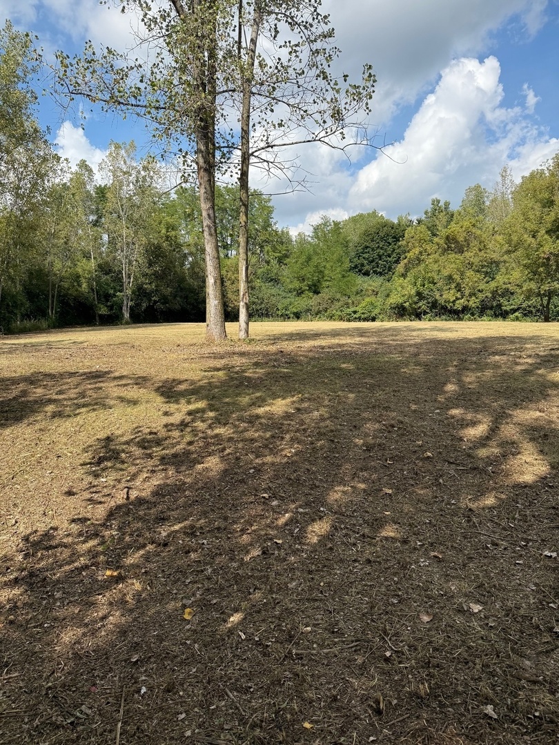 6421 Collier Circle  Long Grove IL 60047