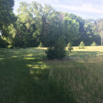 2808 Brickhouses Road  Urbana IL 61802