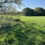 3-521 Shady Lane  Lake Carroll IL 61046