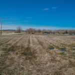 26222 Belvidere Road  Volo IL 60073