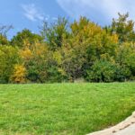 966 Arrowhead Drive  Elwood IL 60421