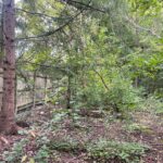 1351 Sheridan Road  Lake Forest IL 60045