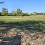 6857 Ellis Avenue Long Grove IL 60047