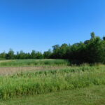 1386 N 4535th Road  Earlville IL 60518