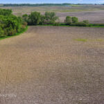 16011 Indian Road Newark IL 60541