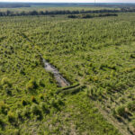 Tract 5 East Radio Tower Road  Clay City IL 62824