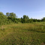 1402 apx Exchange Street  Crete IL 60417