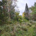 3349 Mill Road  Cherry Valley IL 61016