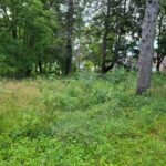 25570 High Street  Wauconda IL 60084