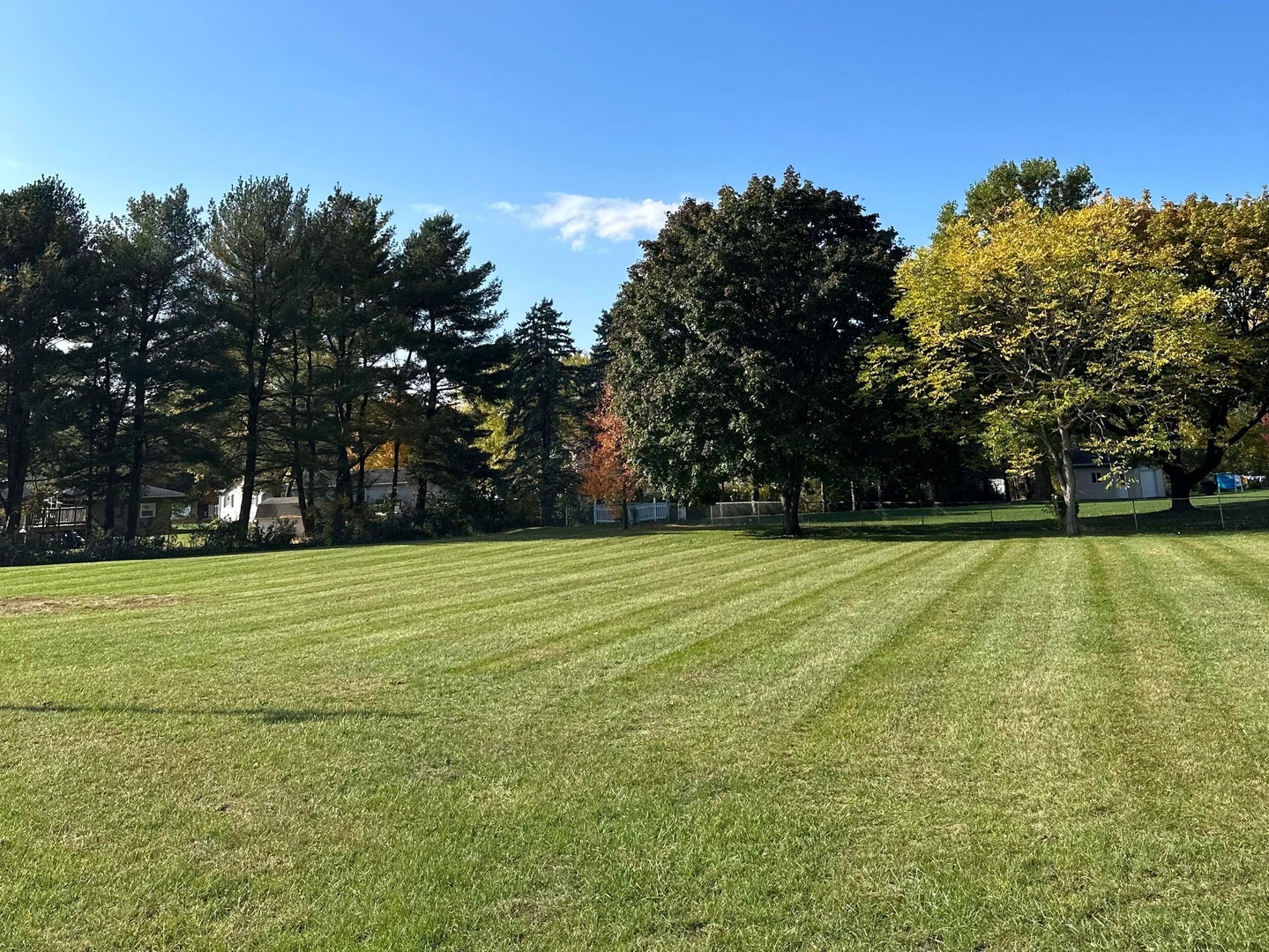 217 Parls Street  Essex IL 60935