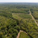 Tract 1 Mint Lane Clay City IL 62824