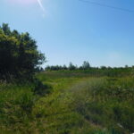 4541 14th Road  Earlville IL 60518