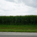 7500 Rt 50   Manteno IL 60950