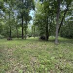 Lot 235 Lake Thunderbird Drive  Tiskilwa IL 61368