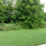 15450 Purley Court  Homer Glen IL 60491