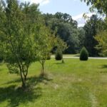 5548 Heatherbrook Trail Monee IL 60449