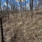 0000 W Winneshiek Road  Freeport IL 61032