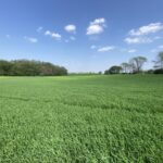 0000 Higgins Road  Hampshire IL 60140