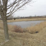 0 Park Avenue  Lake Villa IL 60046