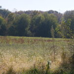 Sec8 Eames Street  Channahon IL 60410