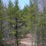 725 CO Road HQ   Marquette MI 49855