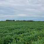 000 Butternut Road  Oregon IL 61061