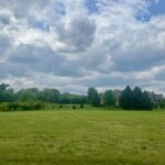 5008 Smokethorn Trail  Belvidere IL 61008