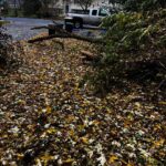 37206 Capillo Avenue  Lake Villa IL 60046