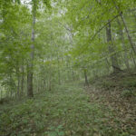 4820 Kopper Pond Road  Hanover IL 61041