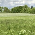 0 Lot 2 Ratfield Road  Marengo IL 60152